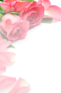 flower picture