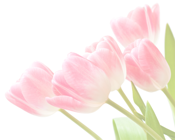 flower pic 3